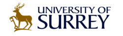 Logo University of Surrey