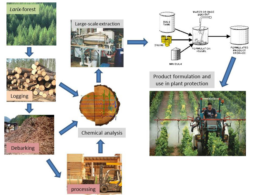 Overall concept of ProLarix